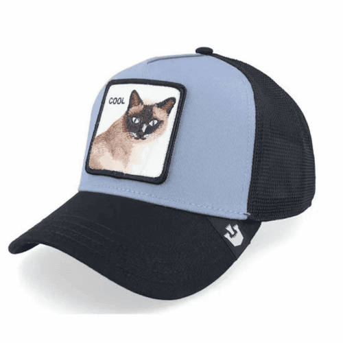 Alternative view of Καπέλο Jockey V2 Cool Cat Γάτα - Goorin Bros