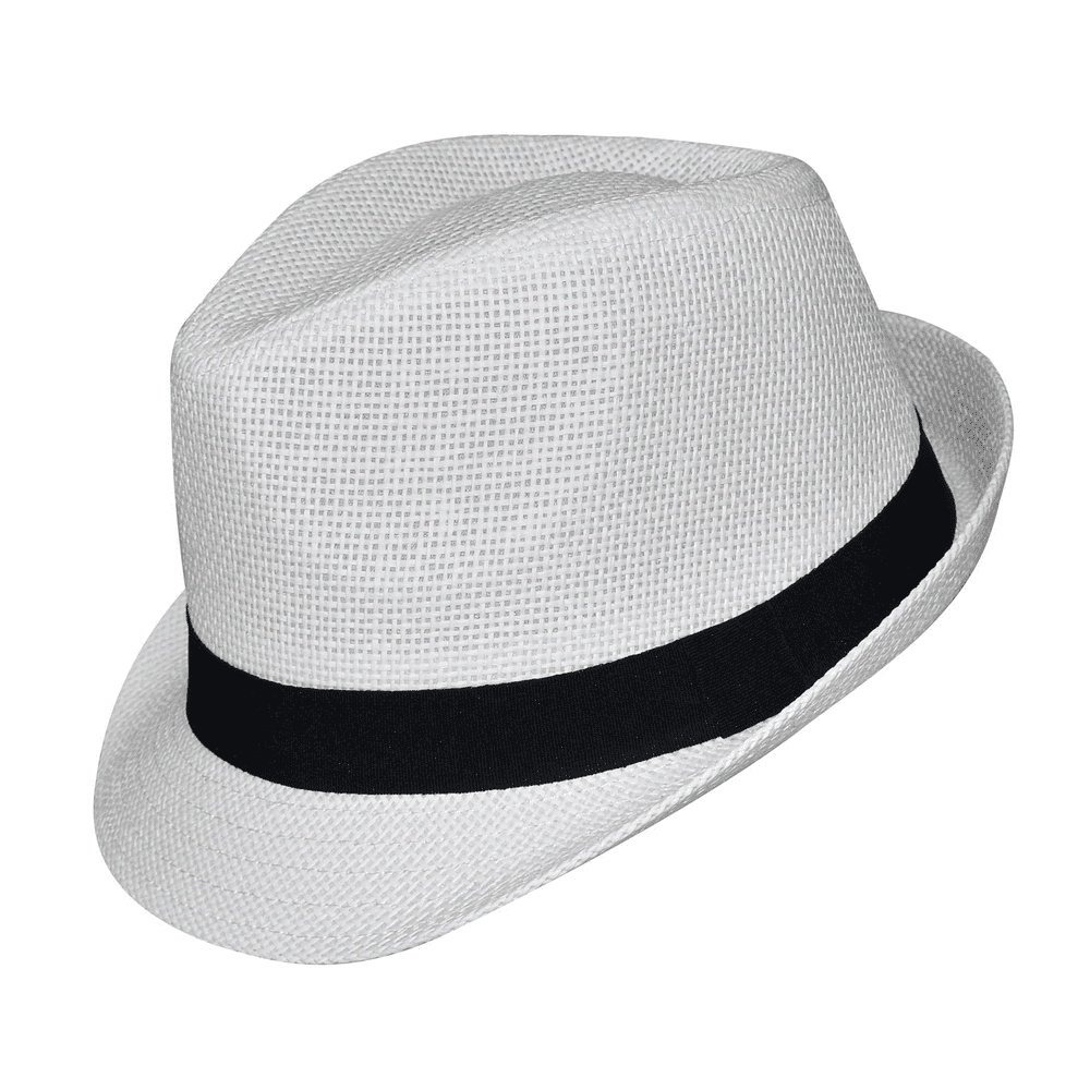 Καβουράκι Stamion Accessories ΑΣΠΡΟ